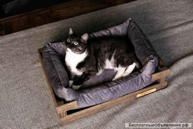 Лежанка для кошек и собак малых пород