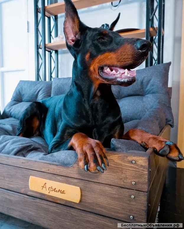 Диван для собак крупных пород