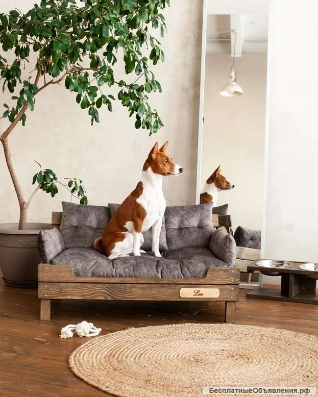 Диван для собак средних пород