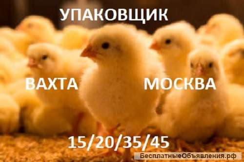 Упаковщик Вахта 15/20/35/45 Москва