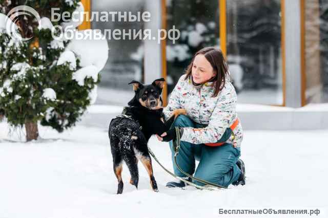 Невероятно ласковый мальчик Деймонд ищет дом