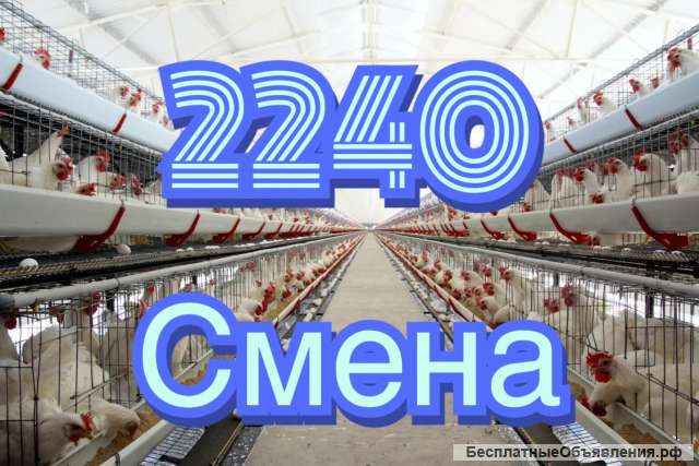 Птицефабрика рабочий вахта 21 день