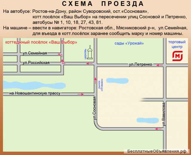 Виноград Саженец Куст