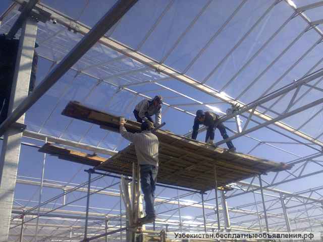 Работа в Англии на ферме без посредников и предоплат за услуги по трудоустройству