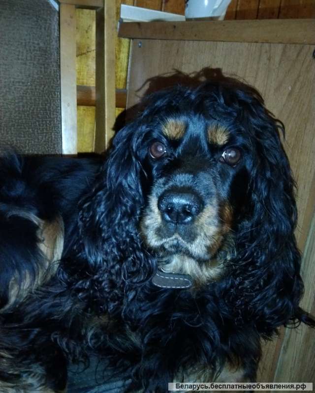 Доступны к бронированию