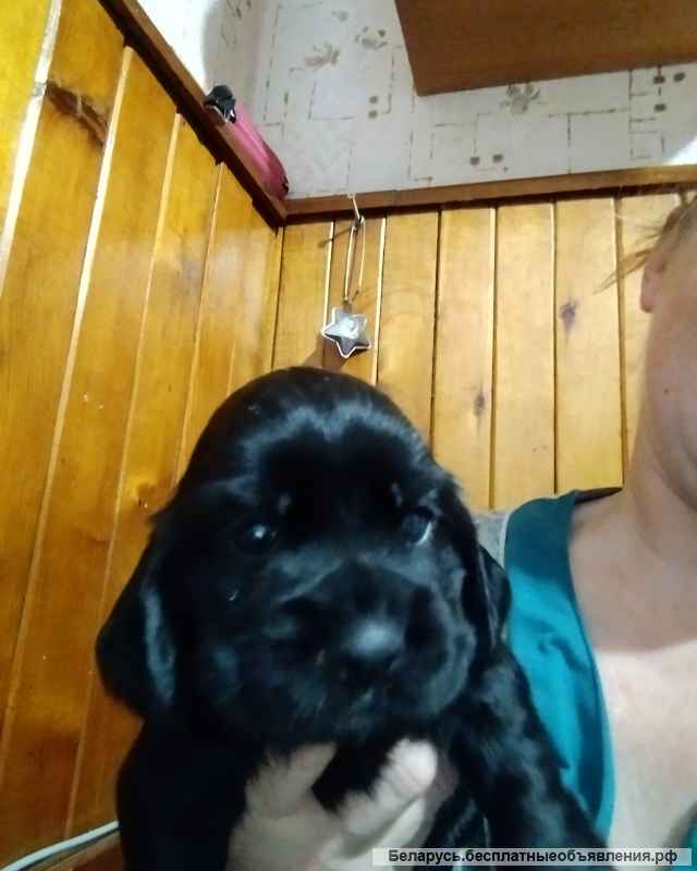 Доступны к бронированию