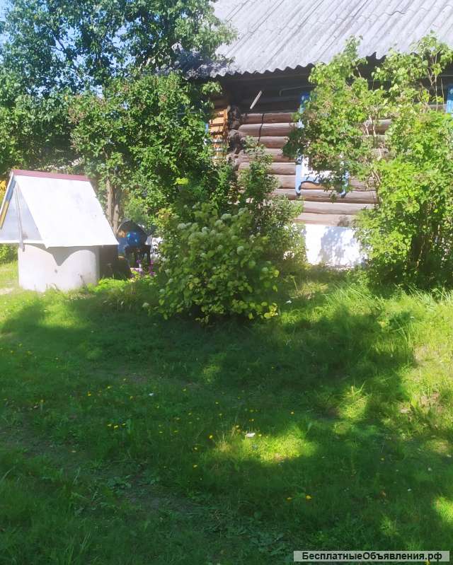 Дом с участком