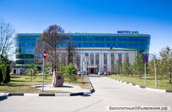 Юбилеи и Свадьбы