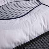 Подушка Nano Touch Cassia маренго Z53 (50*70)