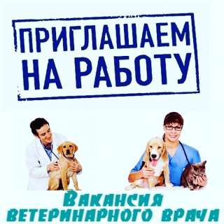 Ветеринарный врач