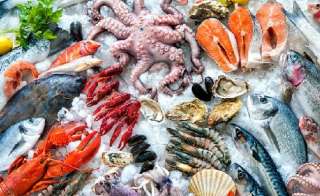 Магазин IcrabSPB: качественные морепродукты и икра в большом ассортименте