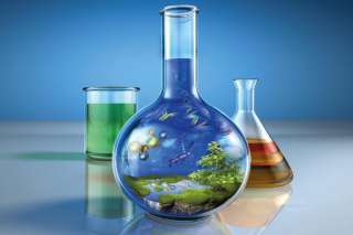 Репетитор по химии и биологии