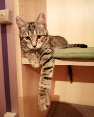 Красотка Мила ждёт свою семью