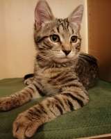 Красотка Мила ждёт свою семью