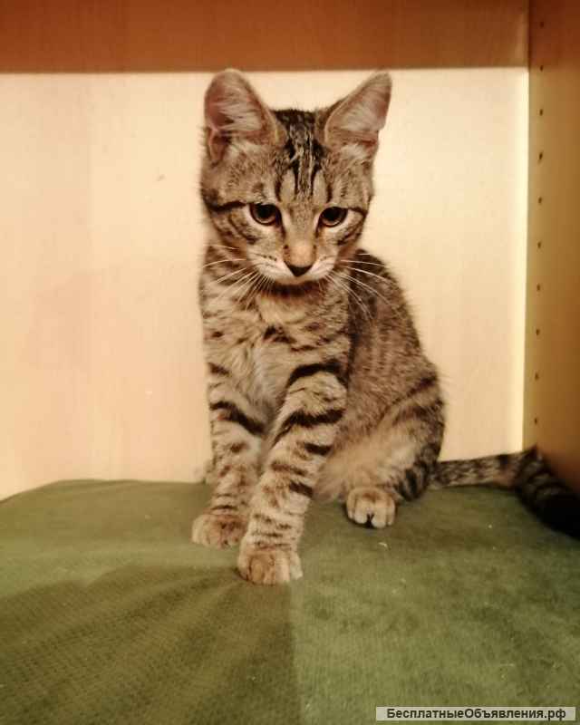 Красотка Мила ждёт свою семью