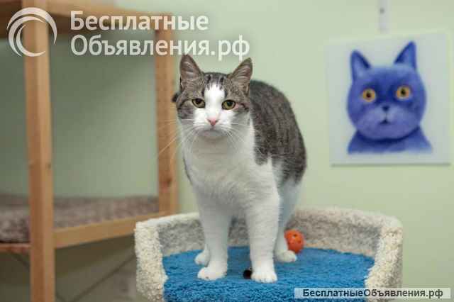 Добрая, ласковая Васенька ищет дом