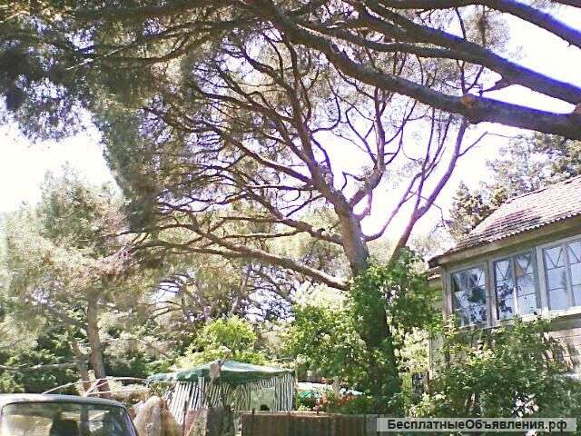 Сниму жилье в Партените, Карасан, Утес на 15-20 дней май, сентябрь, октябрь