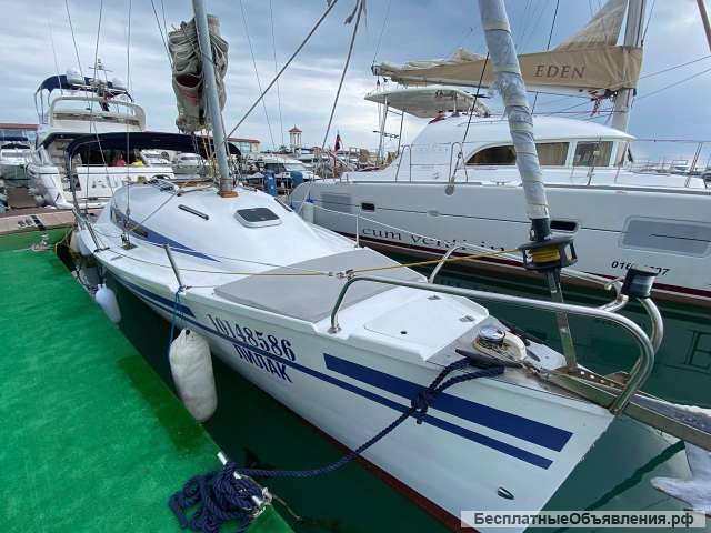 Аренда катера, парусника в Сочи