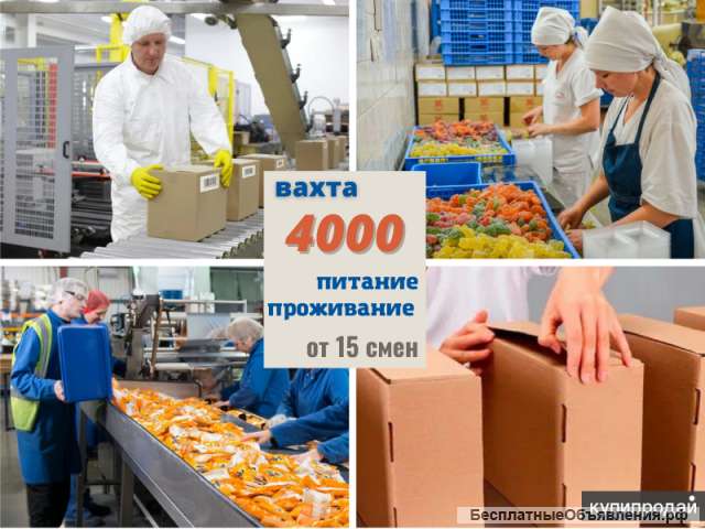 Упаковщик / ца цех склад вахта от 15 москва