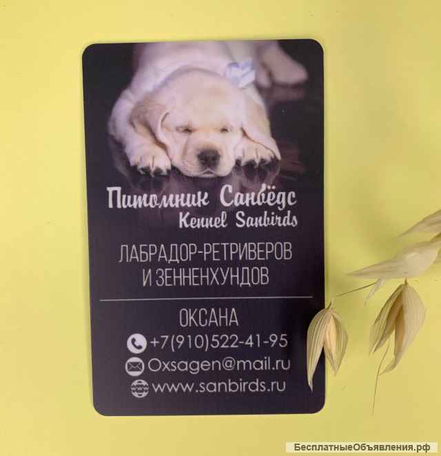 Печать пластиковых карт. Отправка по всей РФ