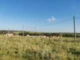 Участок, 13,0 соток, п. Нижнетемерницкий, ул. Озерная.