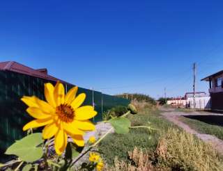 Участок, 6 соток, Суворовский, с/т Защитник