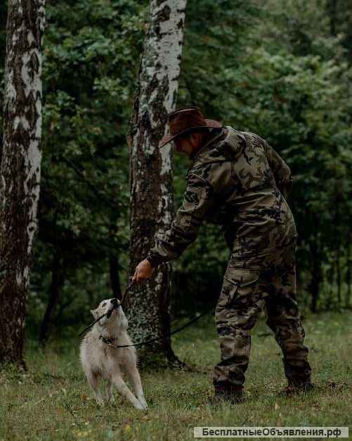 Ищет дом и любящую семью брутальный красавчик Айс