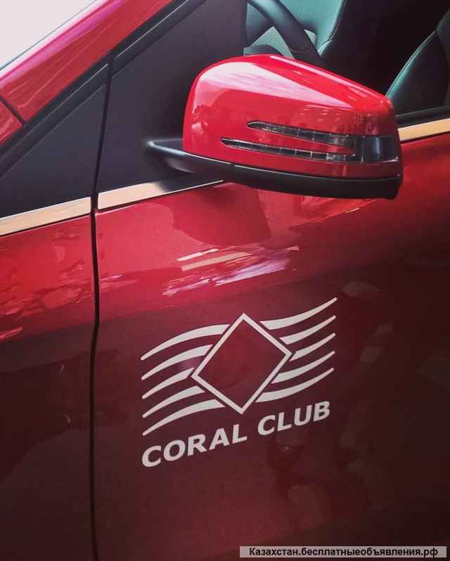 Как выжить в кризис?