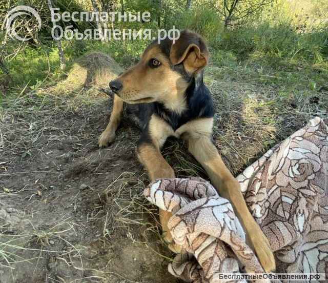 Два очаровательных дворянина и их мама ищут дом