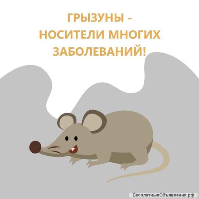 Дезинсекция, уничтожение клопов, тараканов, блох