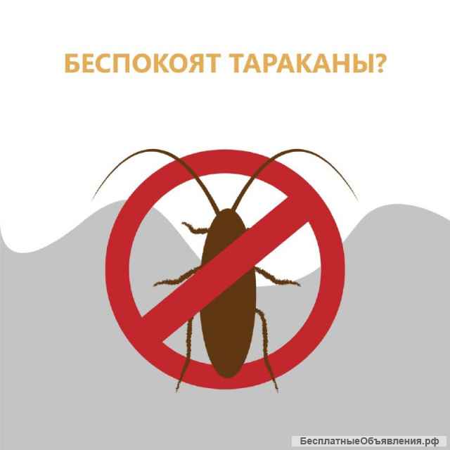 Дезинсекция, уничтожение клопов, тараканов, блох
