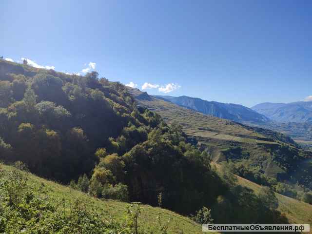 Сдам квартиру на длительный срок семейной паре
