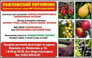Саженцы плодово-ягодных и декоративных растений