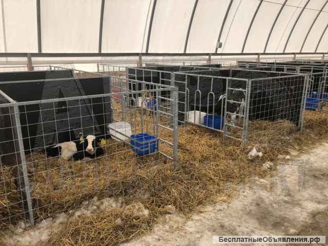 Стойловое оборудование для КРС