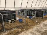 Стойловое оборудование для КРС