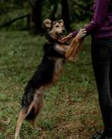 Ищет дом и любящую семью улыбашка Xурма