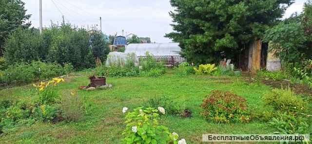 Дачный участок, ОбьГЭС, ост. Чемской бор