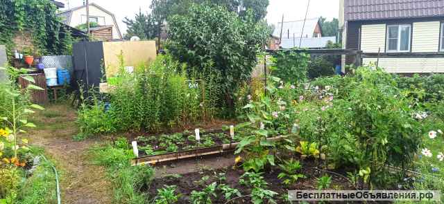 Дачный участок, ОбьГЭС, ост. Чемской бор