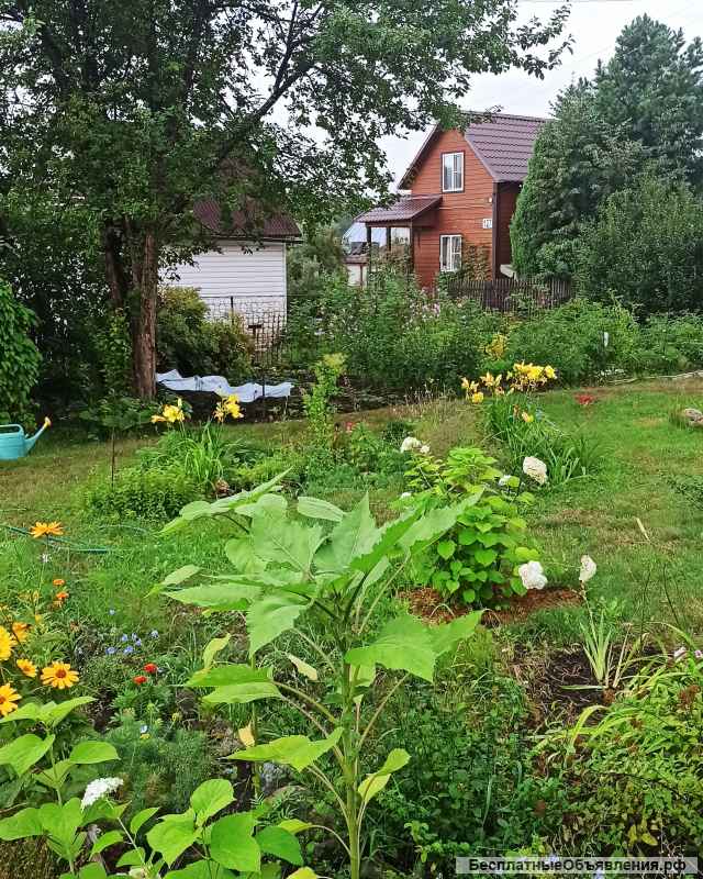 Дачный участок, ОбьГЭС, ост. Чемской бор