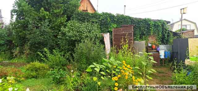 Дачный участок, ОбьГЭС, ост. Чемской бор