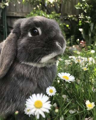 Ищу помощника