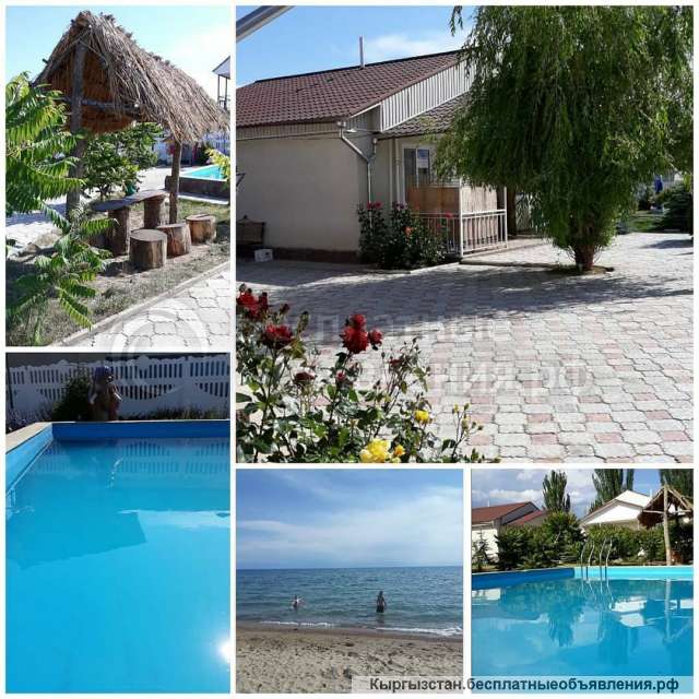 Отдых на Иссык Куле