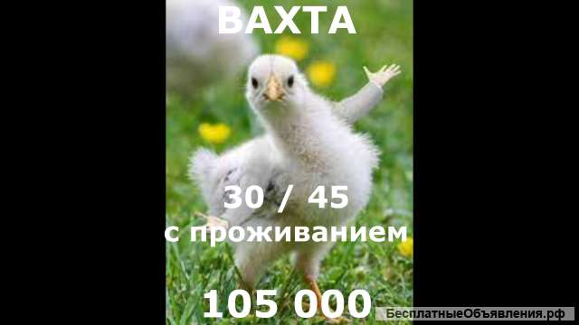 ВАХТА 30/45. РАЗНОРАБОЧИЕ с проживанием. от 105000