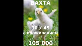 ВАХТА 30/45. РАЗНОРАБОЧИЕ с проживанием. от 105000