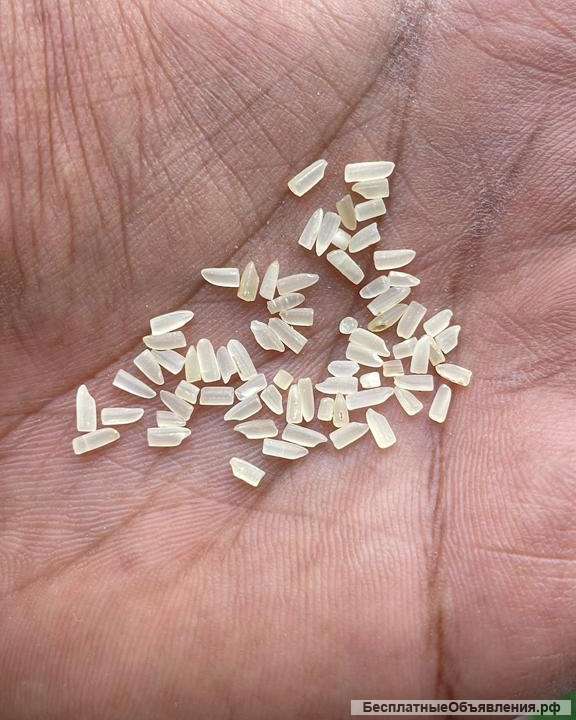 Крупный Опт Риса из Индии