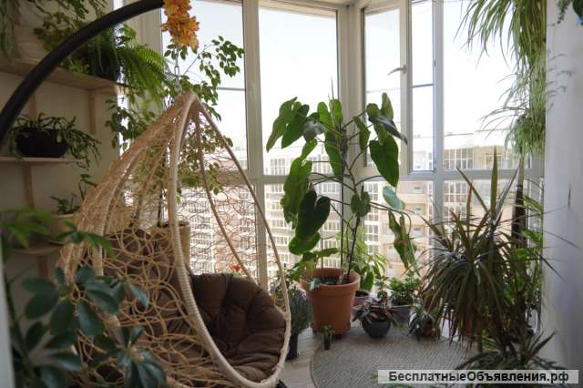 2 ккв с отличным классическим ремонтом