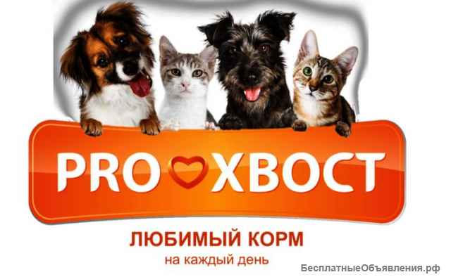 Корм для кошек и собак оптом