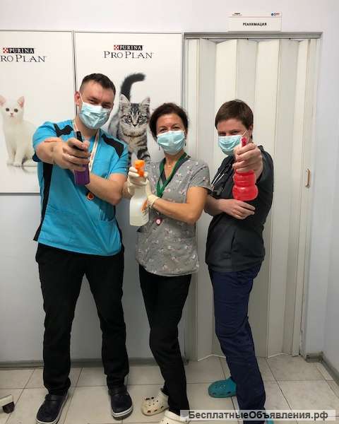 В Москве в ветклинику требуется ветврач терапевт