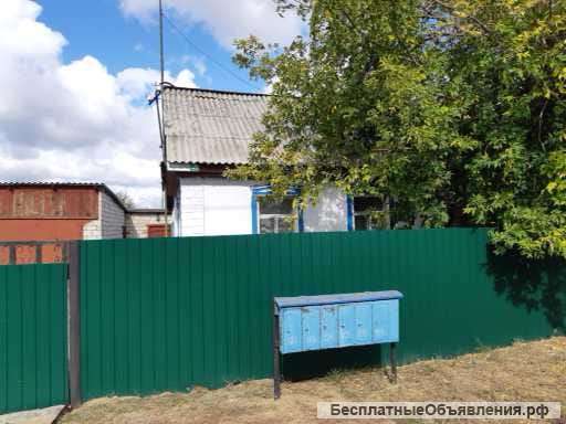Дом. Алтайский край, Кулунда