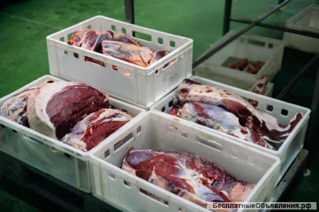 Производство говядины, свинины. Продажа оптом мясо птицы